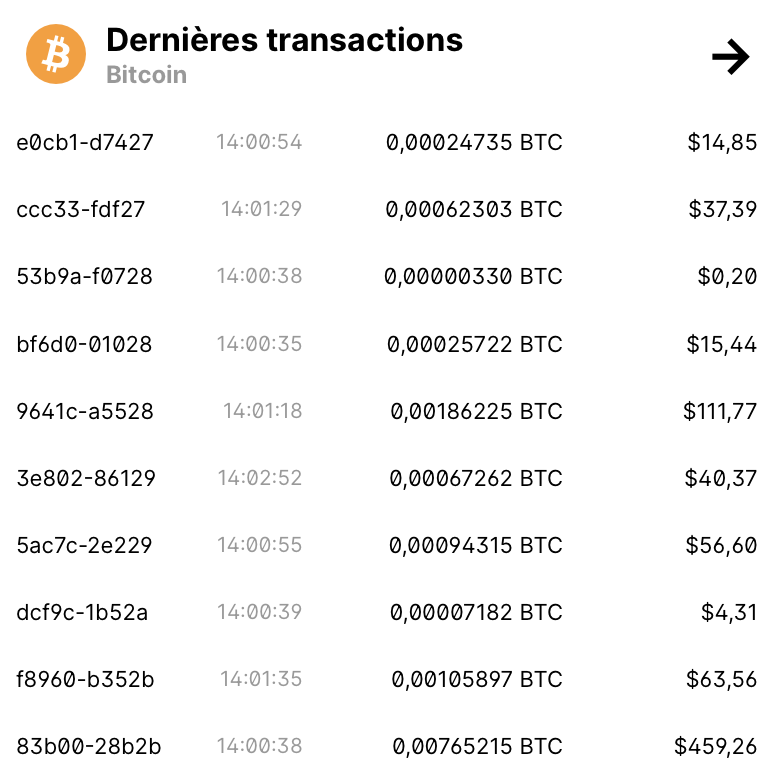 bitcoin blockchain explorer